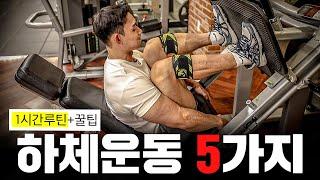 탄탄한 하체 만드는 필수 하체운동 5가지