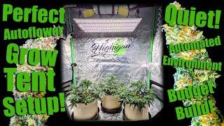 Perfect 2x4 Autoflower Grow Tent Setup! Quiet, Automated Environment!