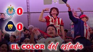 CHIVAS COMPLICA LA LIGUILLA || EL COLOR DEL ESTADIO || PUMAS VS CHIVAS JORNADA 15 || APERTURA 2024