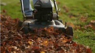 Lawn Care -- Tips for Mulching Leaves