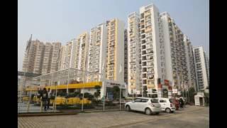 Panchsheel Greens 2/3/4 BR Apartments in Gr. Noida (West)