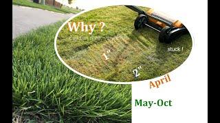 Lawn Care in Spring | Scalping My Zoysia Lawn | Why and How | Texas | DIY Lawn