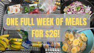 Eat all week for only $26! // EMERGENCY EXTREME GROCERY BUDGET CHALLENGE  #haul #vlog #budget #fyp