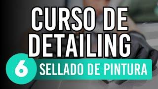 CURSO de DETAILING para PRINCIPIANTES #6 SELLADO de PINTURA