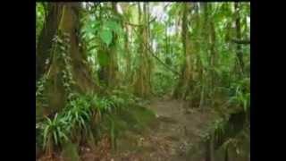 Tours-TV.com: Nature in Belize