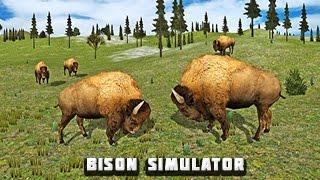 American Bison Simulator