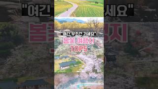 3월에 놓치면 후회할 봄꽃 여행지 TOP5  #봄꽃명소 #봄축제 #벚꽃축제 #벚꽃명소 #왕인박사유적지 #수선화 #여행지추천 #전남여행
