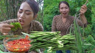 Primitive TV, Eat Moringa fruit with chili salt