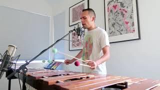 Baila from Song Book, Vol. 2 - marimba + singing - Ivan Trevino