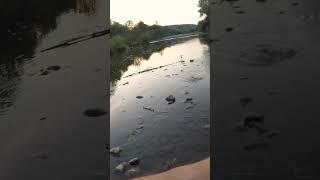 Evening fishing on a small river