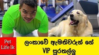 Sri Lankan Politicians Pet animals and dogs 2021| VIP dogs