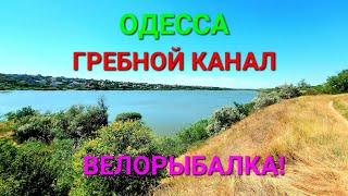 Гребной канал Одесса. Обзор. Рыбалка. Велотур. Добрый Хутор. Сухой Лиман. Карп на удочку. #зоотроп