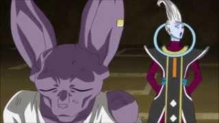 whis wakes beerus (english dub)