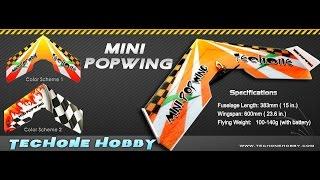 TechOne Hobby Best Seller-Mini Popwing-600mm-Small combat wing