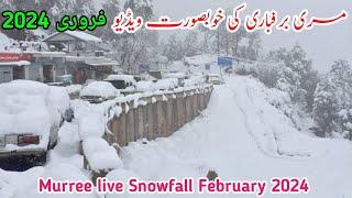 murree Snowfall 2024 | murree live today | murree weather | #murree #snowfall update #2024 #vlog