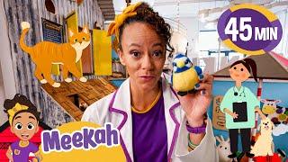 Meekah becomes an Animal Doctor! | Educational Videos for Kids | Blippi and Meekah Kids TV