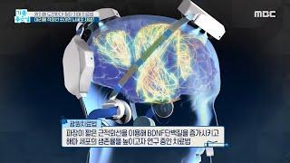 [기분 좋은 날] 머리에 적외선 비추면 알츠하이머 진행 늦춘다? MBC 200918 방송