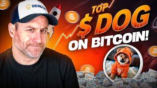 How to Buy $DOG | The #1 Bitcoin Rune & Why It Will Flip $DOGE