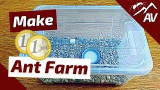 How to Build an Ant Farm | Budget Formicarium - Fast, Cheap & Easy!