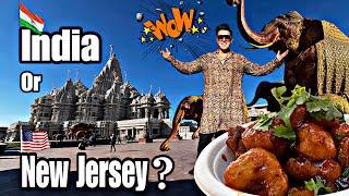 Eating Indian Food At America’s LARGEST Hindu Temple