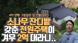 소나무, 잔디밭 갖춘 전원주택이 겨우 2억대라니…4억 양평 그림같은 집 안팔려요![부동산360]