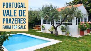 FARM FOR SALE - Vale de Prazeres, Castelo Branco, Portugal, VIRTUAL PROPERTY TOUR 