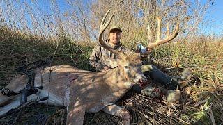 INSANE  Public Land Bowhunting! (MONSTER BUCK)