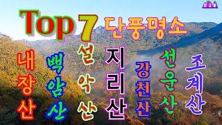 [2024년 우리나라 최고 아름다웠던 단풍명산 Top7] 설악산,지리산,내장산,백암산,강천산,조계산,선운산   총정리ㅣ 단풍 산행과 누구나 즐길 수 있는 곳