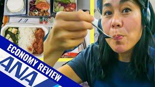 ANA All Nippon Airways ECONOMY Review | Is it Worth It?