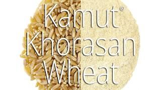 Can you Mockmill Kamut Khorasan Wheat?