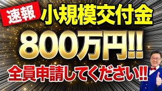 【超速報】従業員0でも800万円貰える「最強の交付金」が遂に登場！動画を見たら今すぐ申請してください！