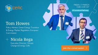 Transition Talks: EU electricity market design