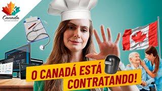 AS 5 PROFISSÕES QUE MAIS CONTRATAM NO CANADÁ