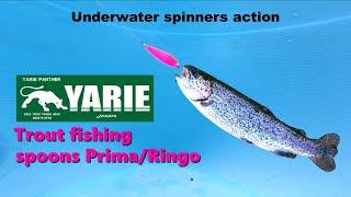 YARIE Trout fishing Spoons Prima-Ringo , Spinners underwater