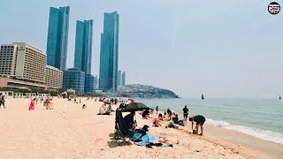 Haeundae Beach Busan 해운대 모래축제 || South Korea 2022