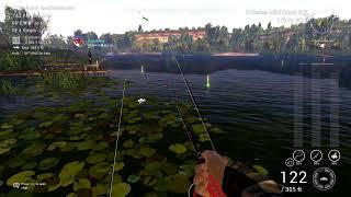 Fishing Planet - 1 Competition and Dnipro Chill Stream