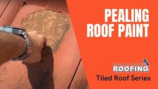 PEALING ROOF PAINT - Queensland Roofing