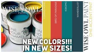 NEW Wise Owl Paint One Hour Enamel Colors | 4 NEW Accent Colors in Pints | Custom Mixing Ideas