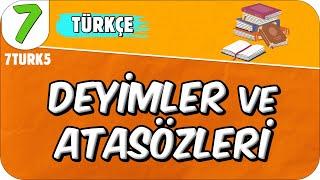 Deyimler ve Atasözleri  7TURK5 #2025