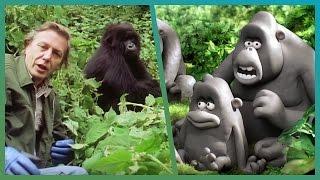 The Gorillas Meet Attenborough ft. Aardman Animations #Attenborough90 | BBC Earth Explore