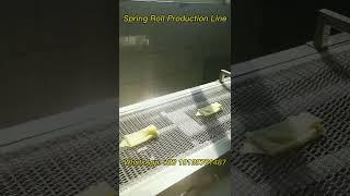 Unraveling the Spring Roll Making Process with Modern Machines.#springrolls #pastry #foodmachine