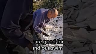 SALVAGING LOCAL MATERIALS FOR OUR  FRUGAL POOL SURROUND PROJECT