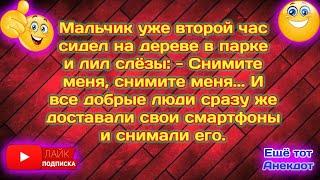 Сборник Весёлых  Анекдотов Для Супер Настроения!Смешные Анекдоты!Смех!Юмор!Позитив!Еще тот Анекдот!