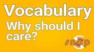 Vocabulary in reading (1/2) — importance and linguistic concepts