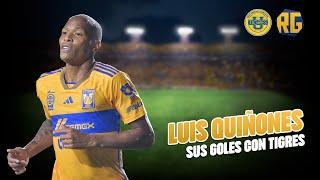 LOS 26 GOLES OIFICIALES DE LUIS QUIÑONES CON TIGRES | 2016-2024