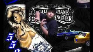 YOUnGSTER FROM LP   DAnnYBOY FROM CFM JUNEY DISS- 559 Area.flv