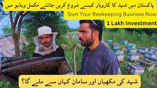 honey bee farming in Pakistan | honey Farming | Bee keeping | honey bees farming Guide