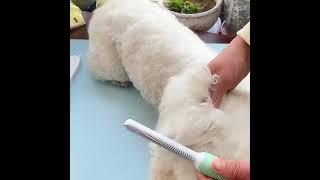 Pet Grooming Comb