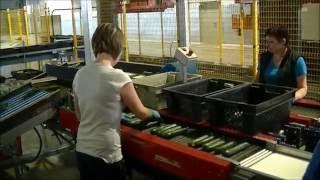 AWETA - Cucumber Grading, Sorting, Packing and Palletizing Turnkey Solution