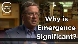 Robert John Russell - Why is Emergence Significant?